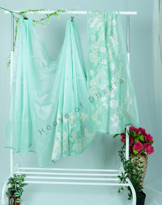 Pastel green Soft organza tissue saree with applique work