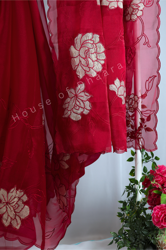 Red Soft organza tissue saree with applique work
