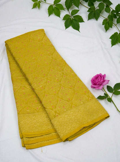 Chinnon Banaras Meenakari Saree
