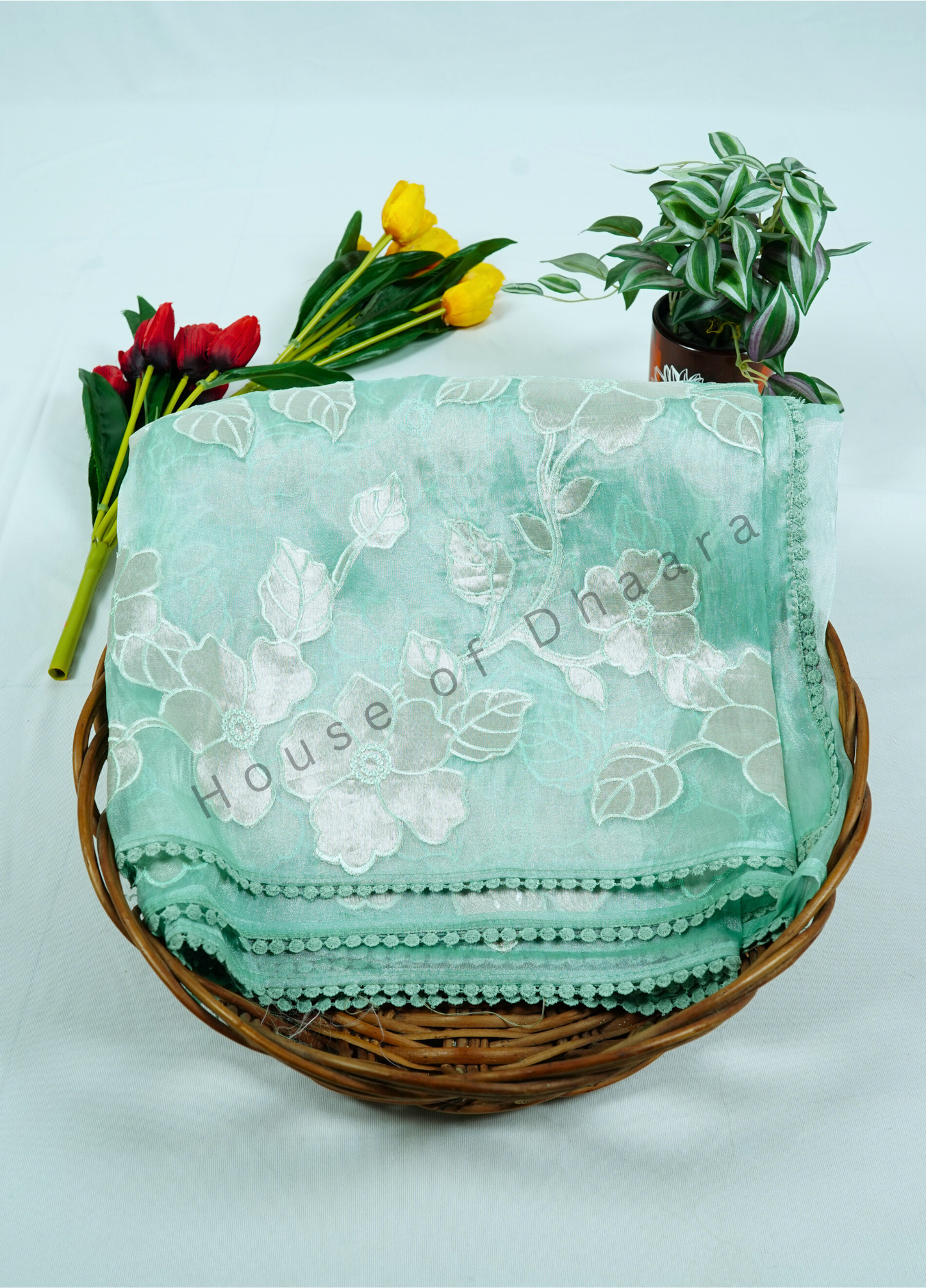 Pastel green Soft organza tissue saree with applique work
