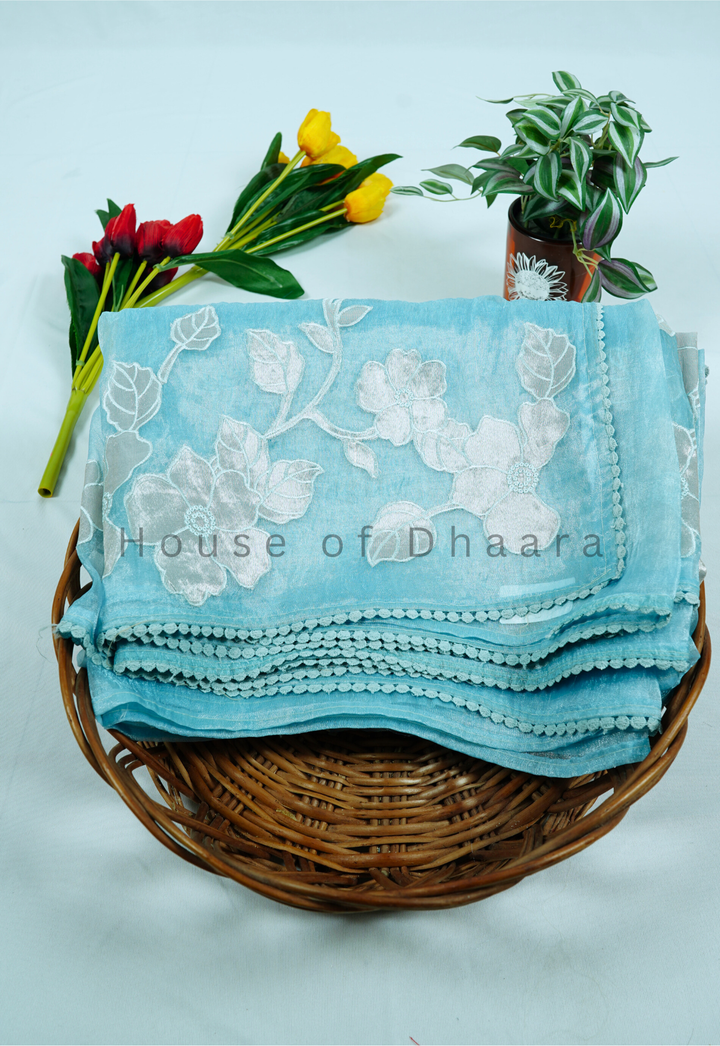 Pastel Blue Soft organza tissue saree with applique work