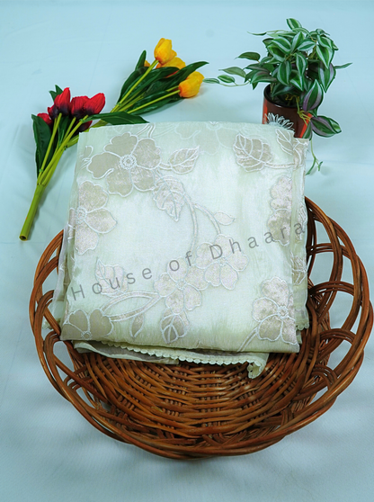 Beige Soft organza tissue saree with applique work