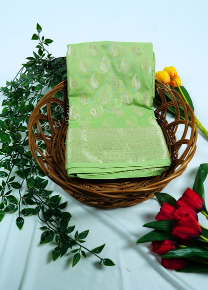 Light green Banarasi Georgette Saree