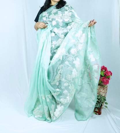 Pastel green Soft organza tissue saree with applique work