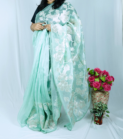 Pastel green Soft organza tissue saree with applique work